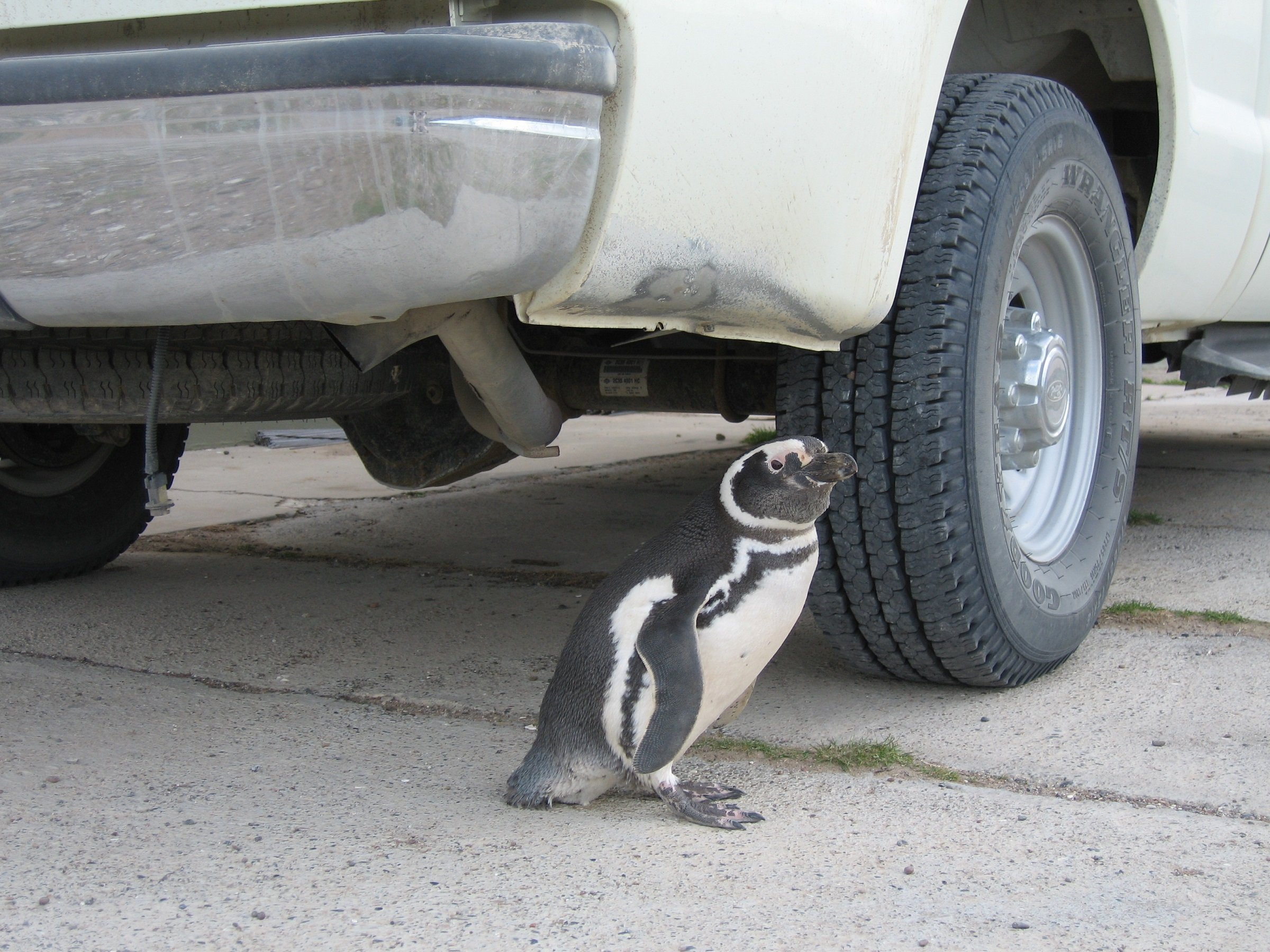 turbo-by-truck-1.jpg turbo-by-truck-1.jpg