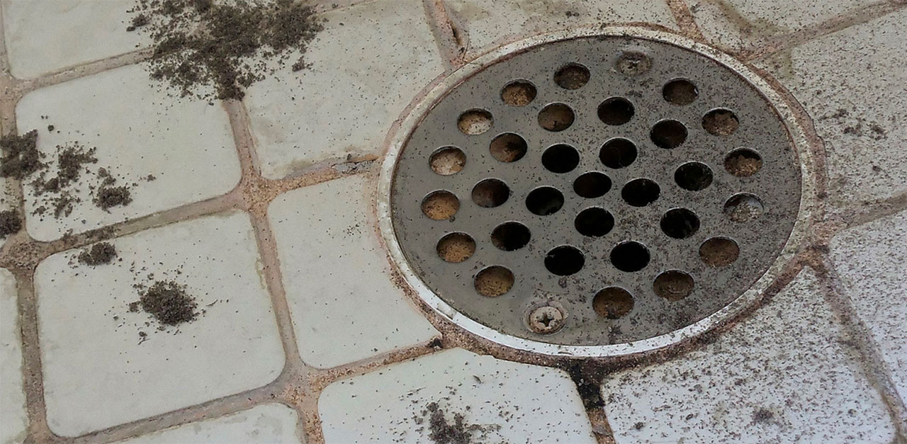 Shower drain 1280