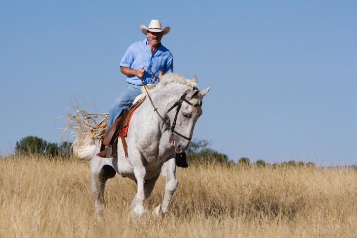 Hispanic man riding horse
