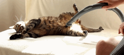 vacuum-me.gif