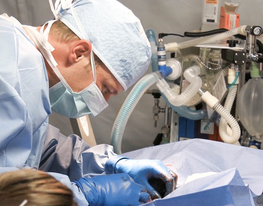 veterinarian-809930_960_720.jpg