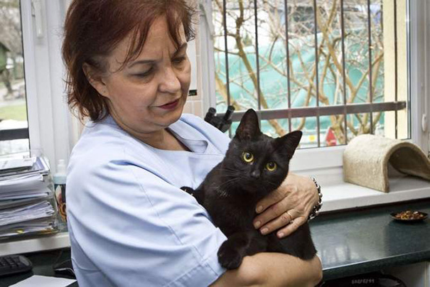 veterinary-nurse-cat-hugs-shelter-animals-radamenes-bydgoszcz-poland-2.jpg