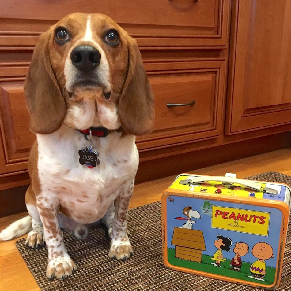 vintage-lunchbox-peanuts.jpg