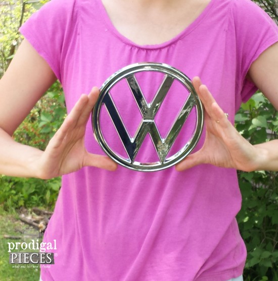 vw-bus-emblem-e1438943488233.jpg