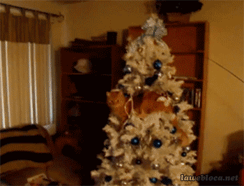 w9j7t3.gif