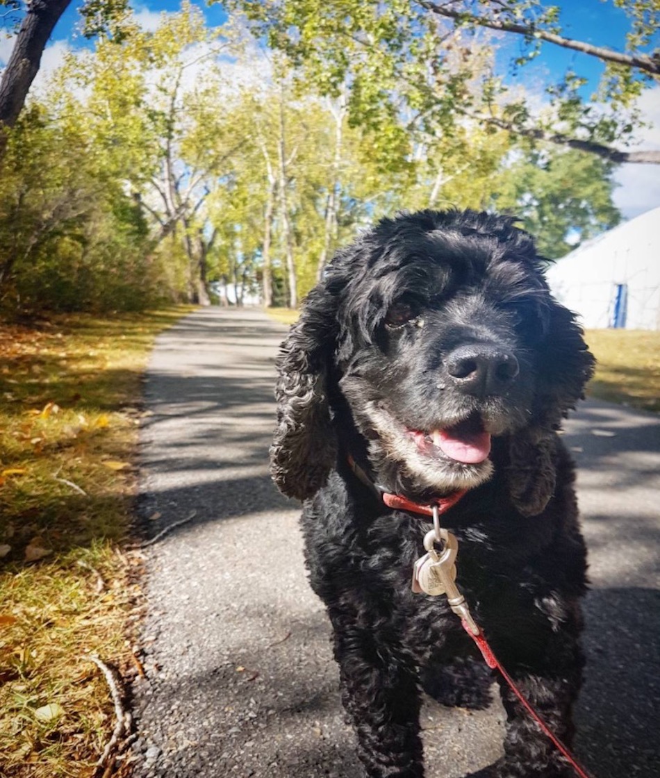 walk.jpg