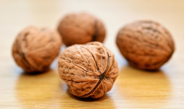 walnuts-552975_640.jpg