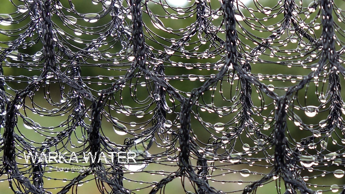 warka-4.jpg warka-4.jpg