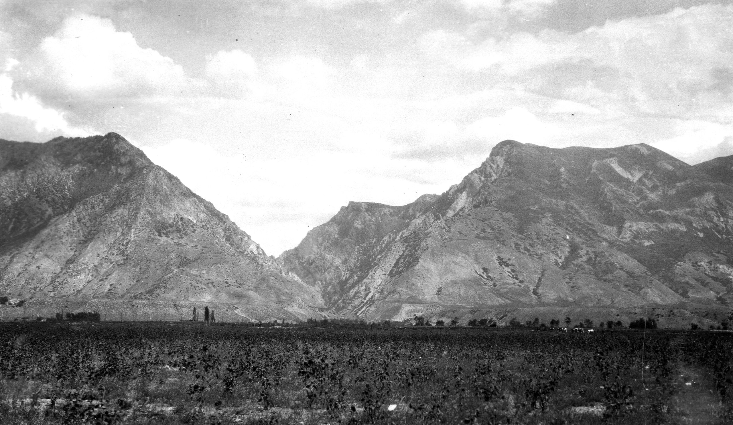 wasatch-canyon.jpg