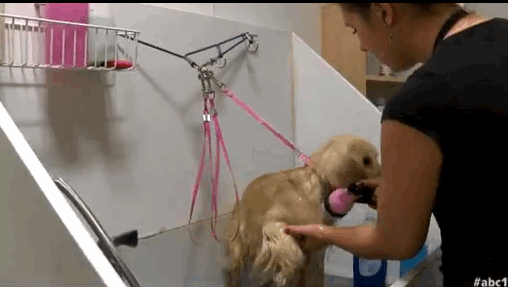 wash.gif