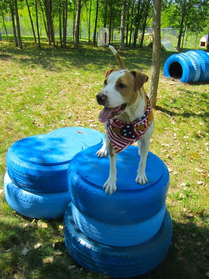 weston-tires.jpg