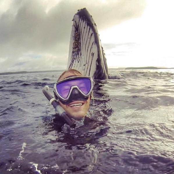 whale-5.jpg