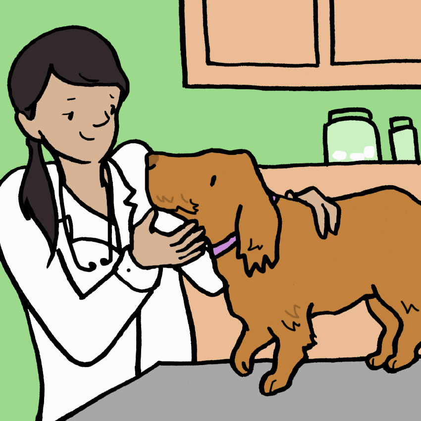 when-does-my-dog-need-to-see-the-vet.jpg