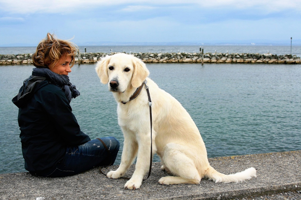 white-dog-2897935_1280.jpg