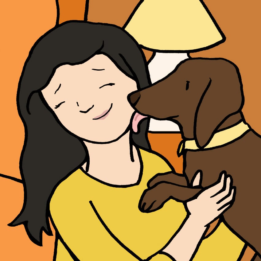 why-do-dogs-lick-your-face1.jpg