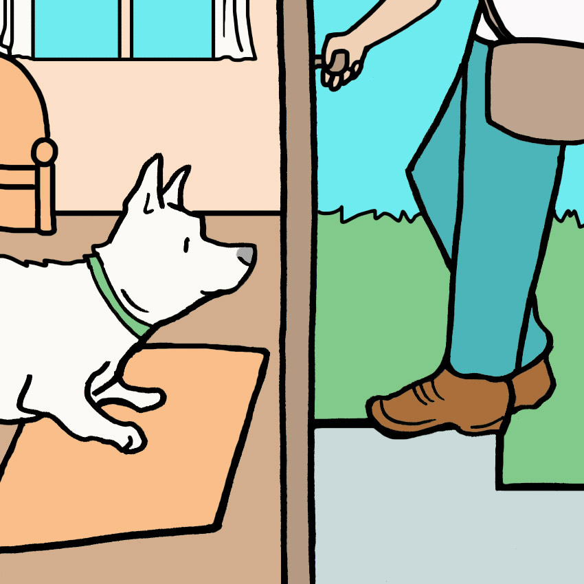 why-does-my-dog-sleep-so-much.jpg