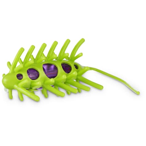wiggle-bug.jpg