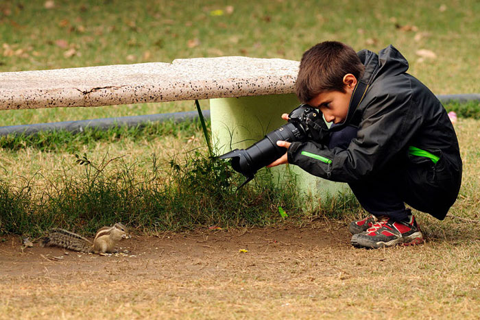 wildlife-photography-carlos-perez-naval-1.jpg