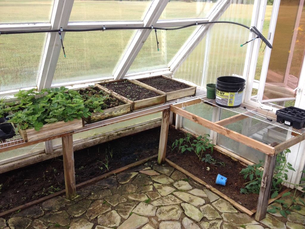 windowgreenhouse_w.jpg