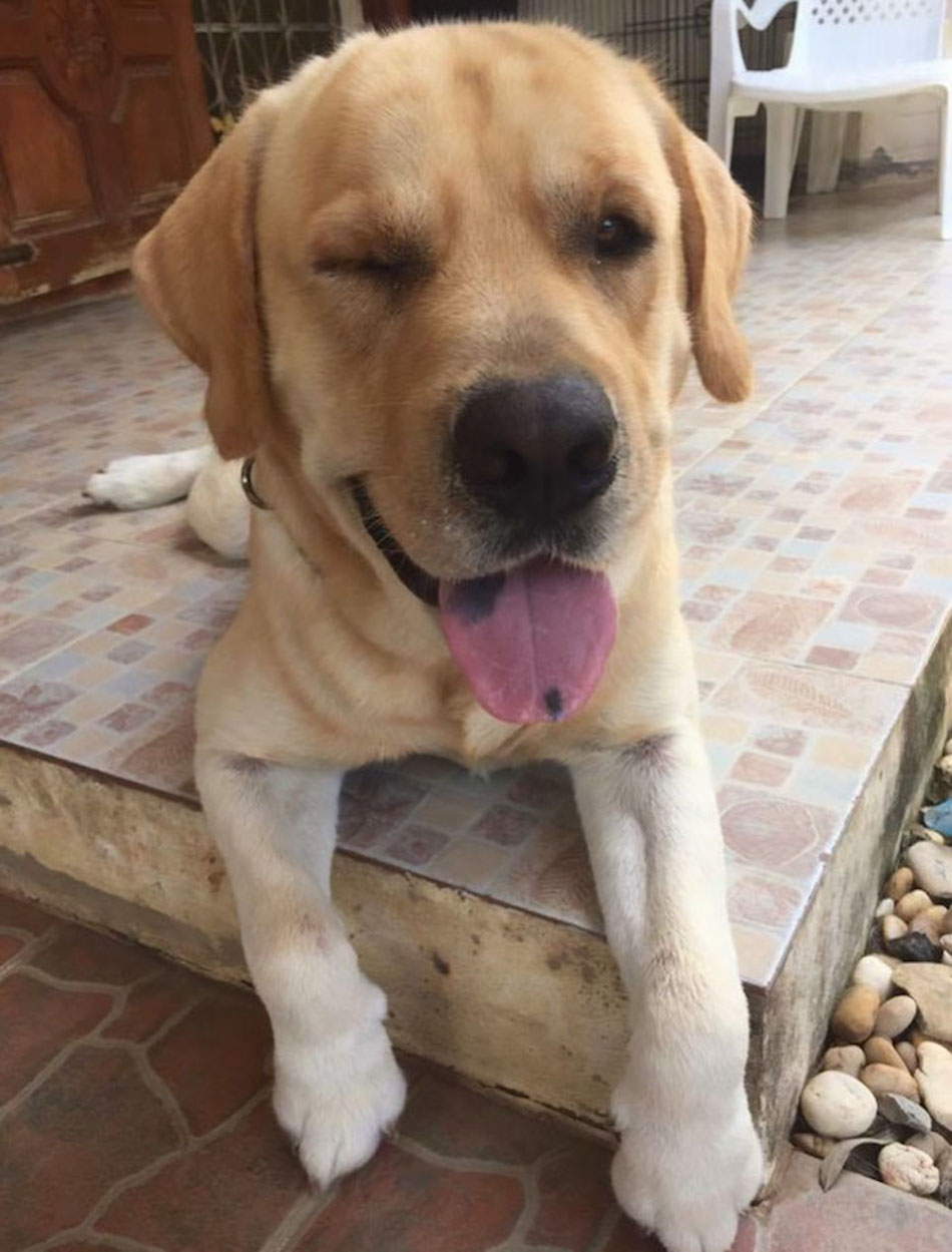 wink.jpg