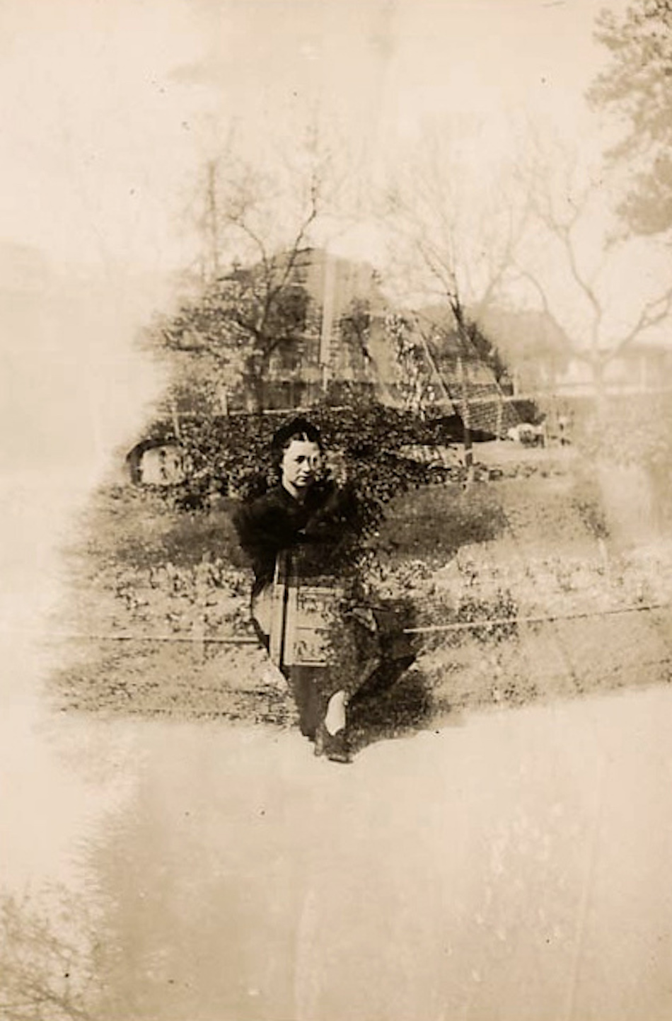 woman-trees.jpg