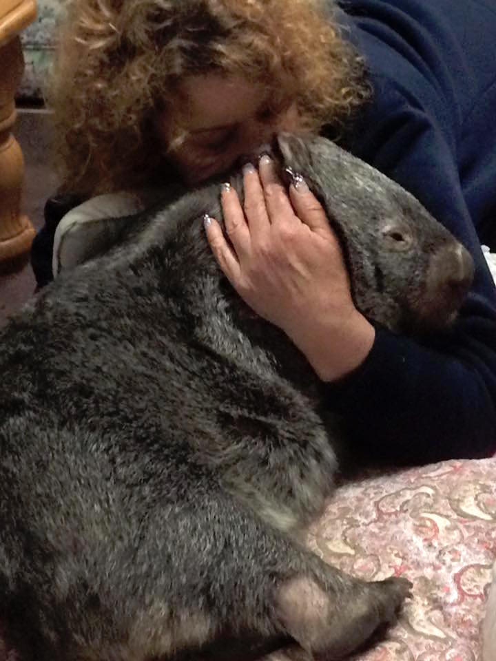 wombatrescue_d.jpg