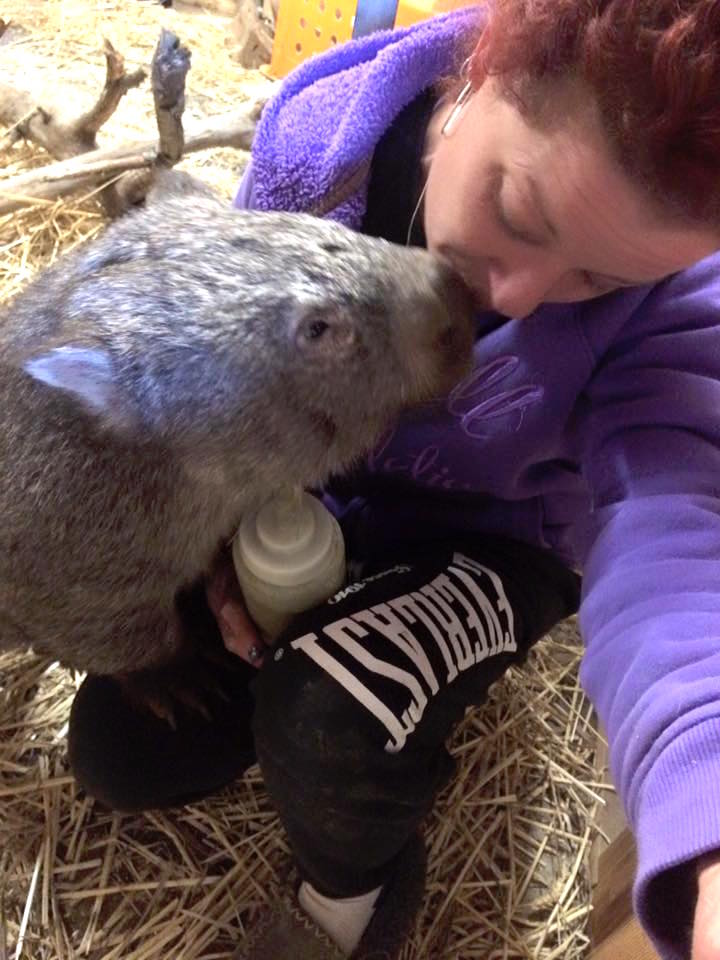 wombatrescue_g.jpg