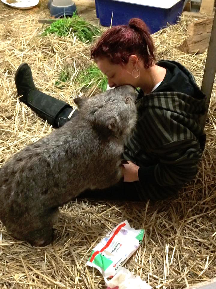 wombatrescue_k.jpg