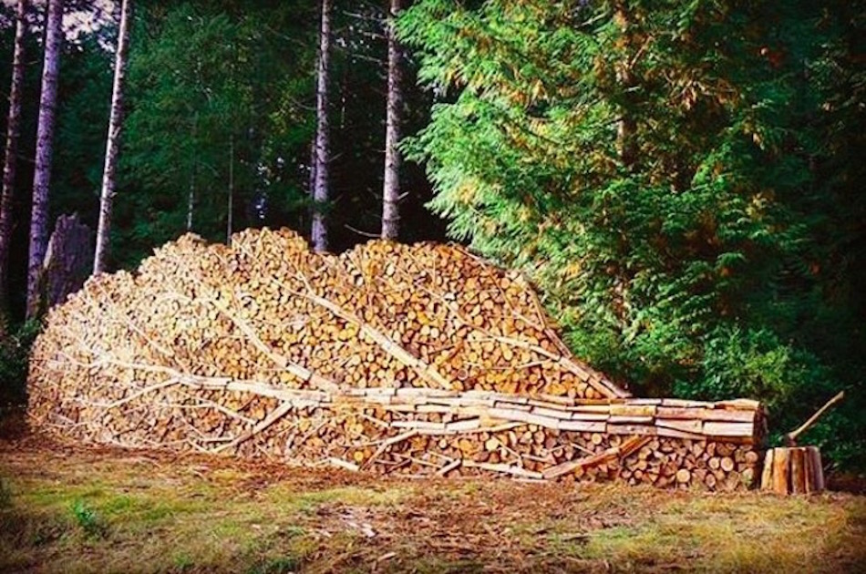 woodpile-1.jpg