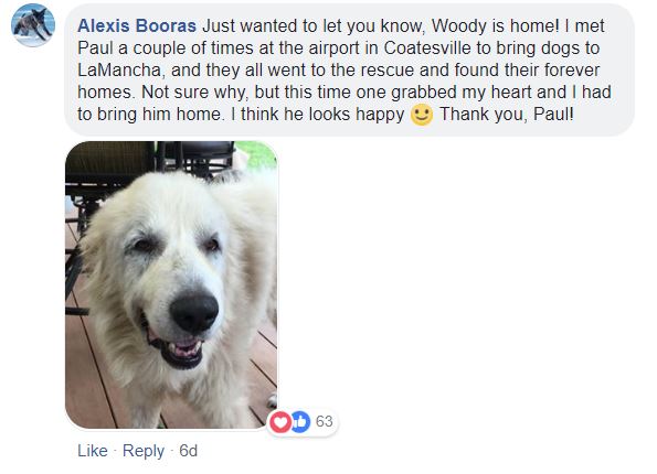 woody12.jpg