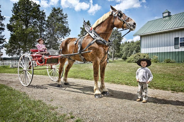 worlds-tallest-horse1.jpg