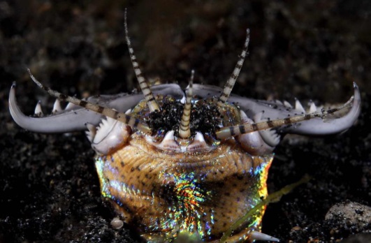 worm10.jpg