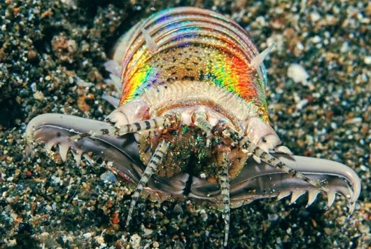 worm11.jpg