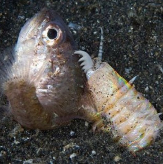 worm4.jpg