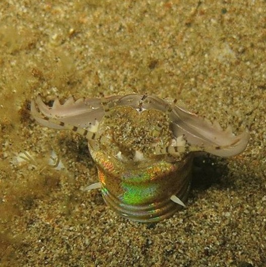 worm9.jpg