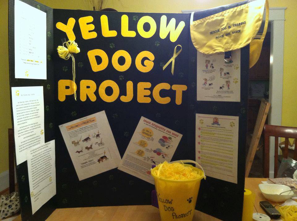 yellow-5.jpg
