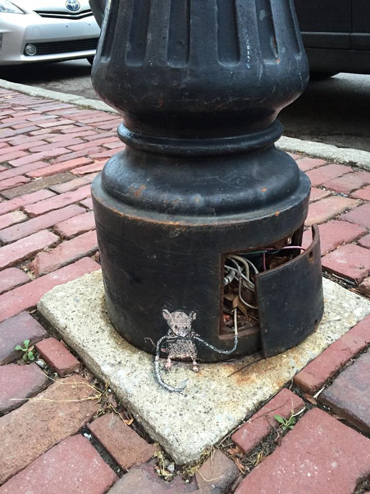 zinn8.jpg
