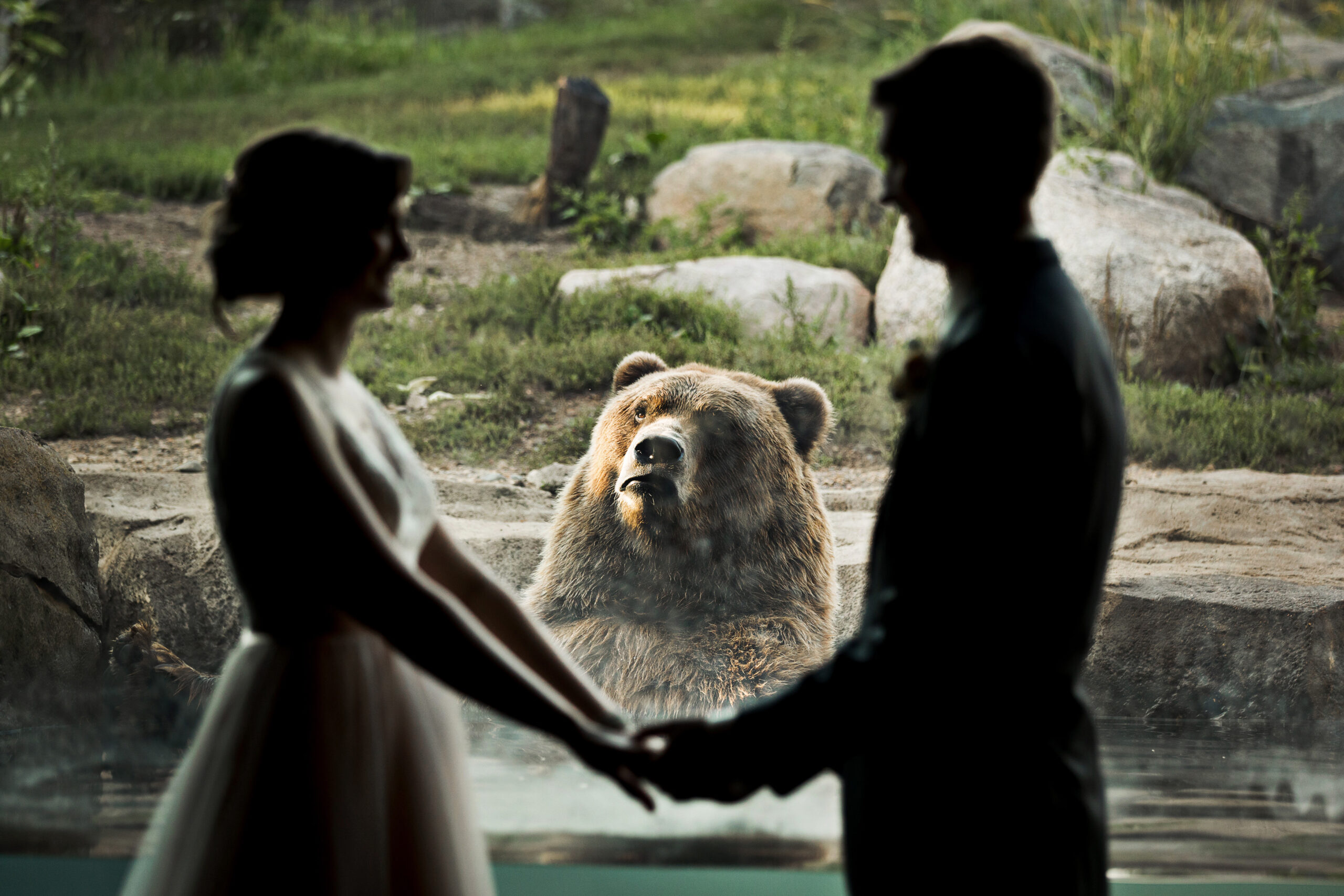 Bear Photobombs Wedding Shoot