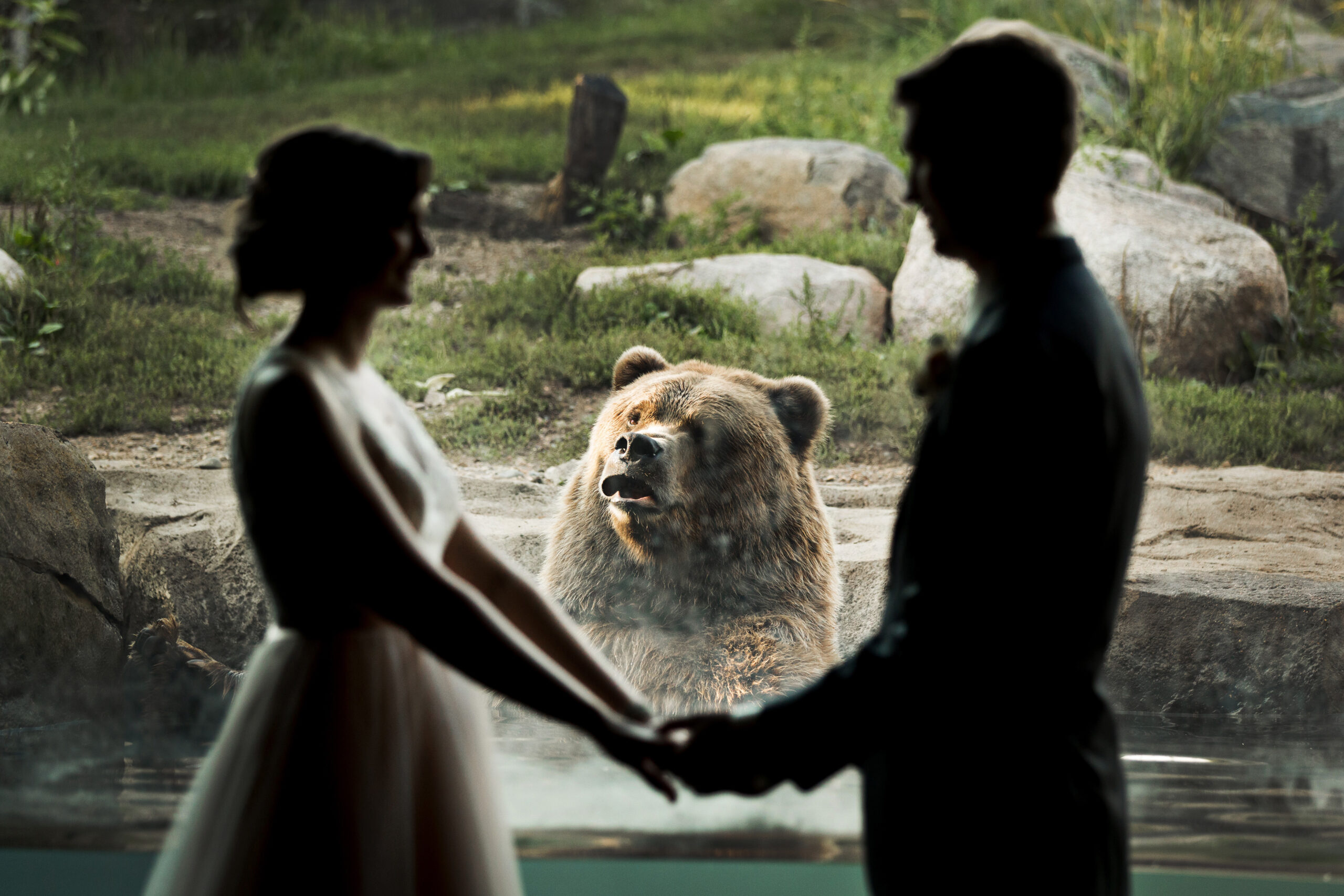 Bear Photobombs Wedding Shoot