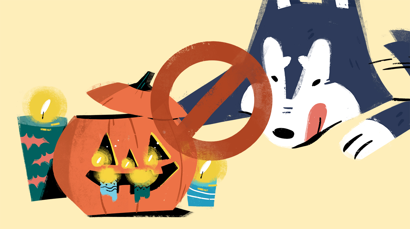 3__Dog_Owners_Beware_9_Spooky_Dangers_Threatening_Your_Pups_On_Halloween_copy.jpg
