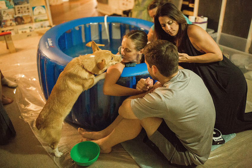 DOG APPEARS IN EVERY BIRTH PHOTO