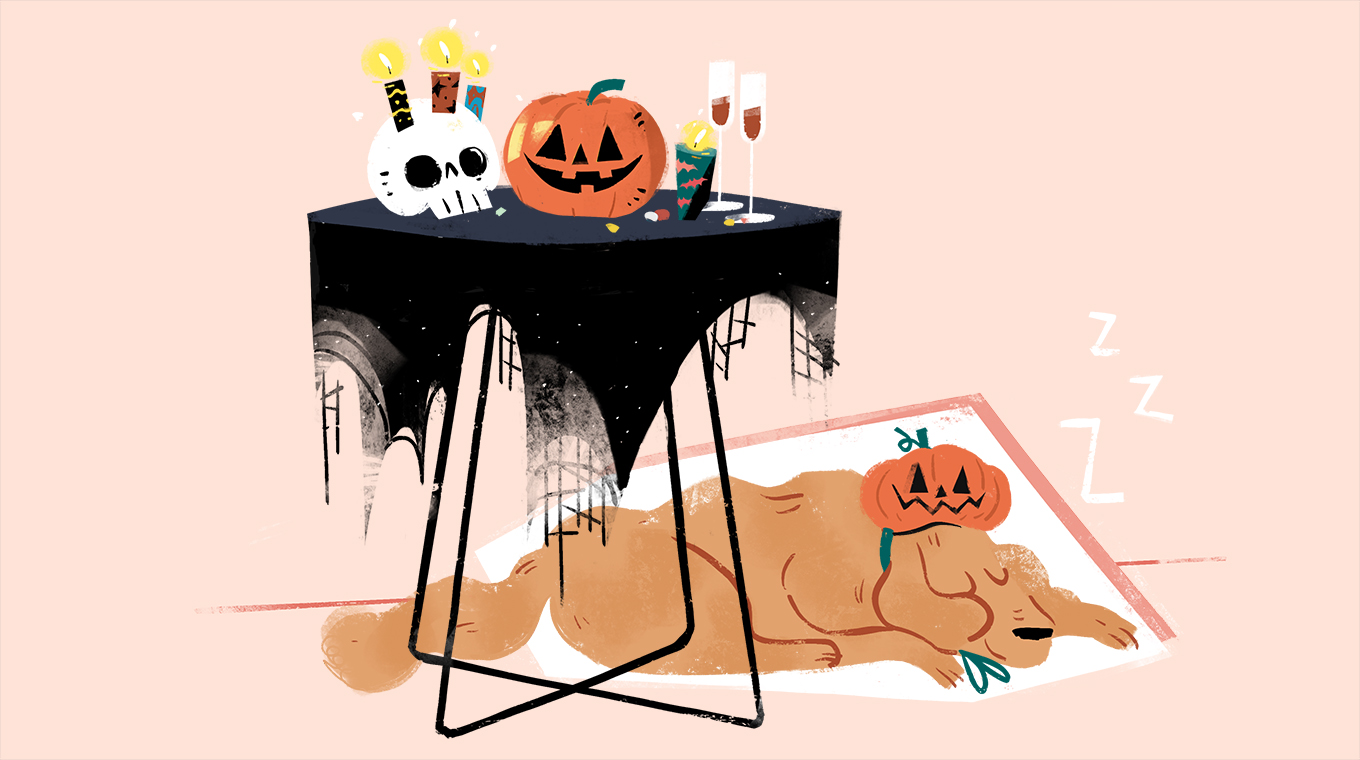 5__Dog_Owners_Beware_9_Spooky_Dangers_Threatening_Your_Pups_On_Halloween_copy.jpg