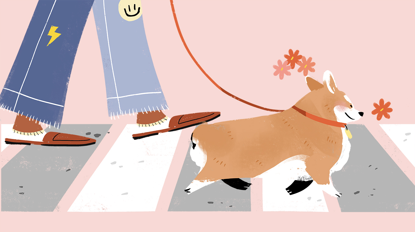 7__Dog_Owners_Beware_9_Spooky_Dangers_Threatening_Your_Pups_On_Halloween_copy.jpg