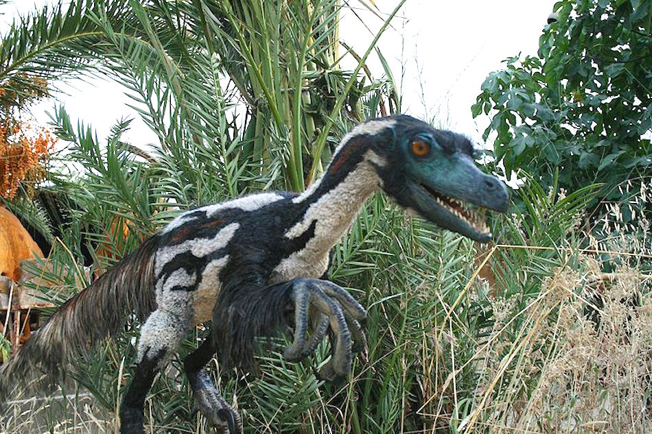 800px-Velociraptor-by-Salvatore-Rabito-Alc_n.jpg