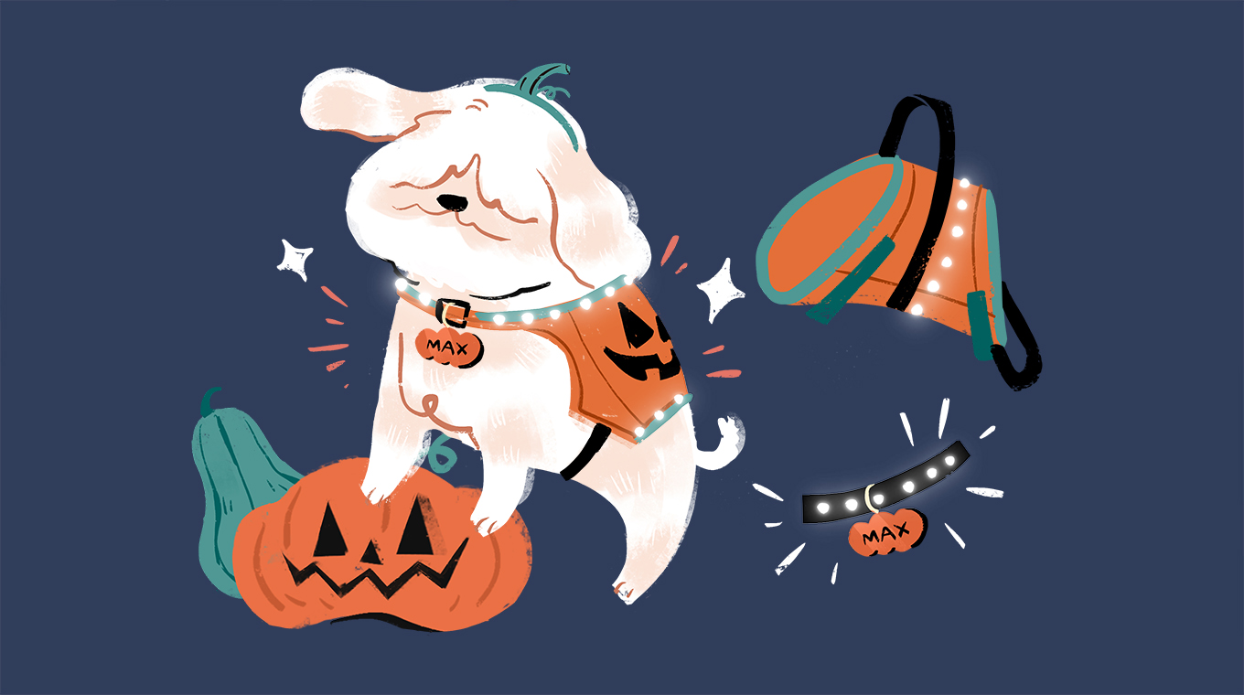 8__Dog_Owners_Beware_9_Spooky_Dangers_Threatening_Your_Pups_On_Halloween_copy.jpg