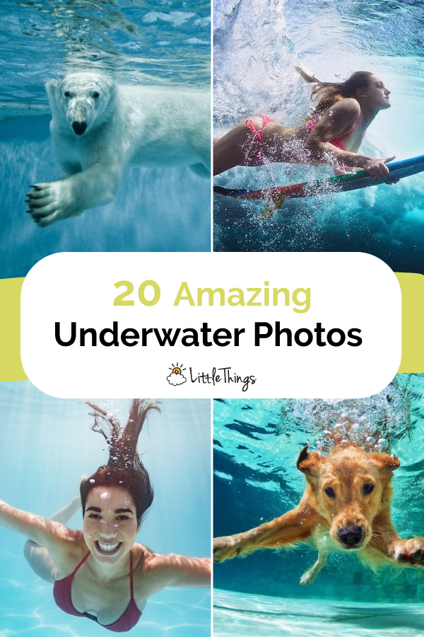 Amazing-underwater-photos-pinterest-image.jpg