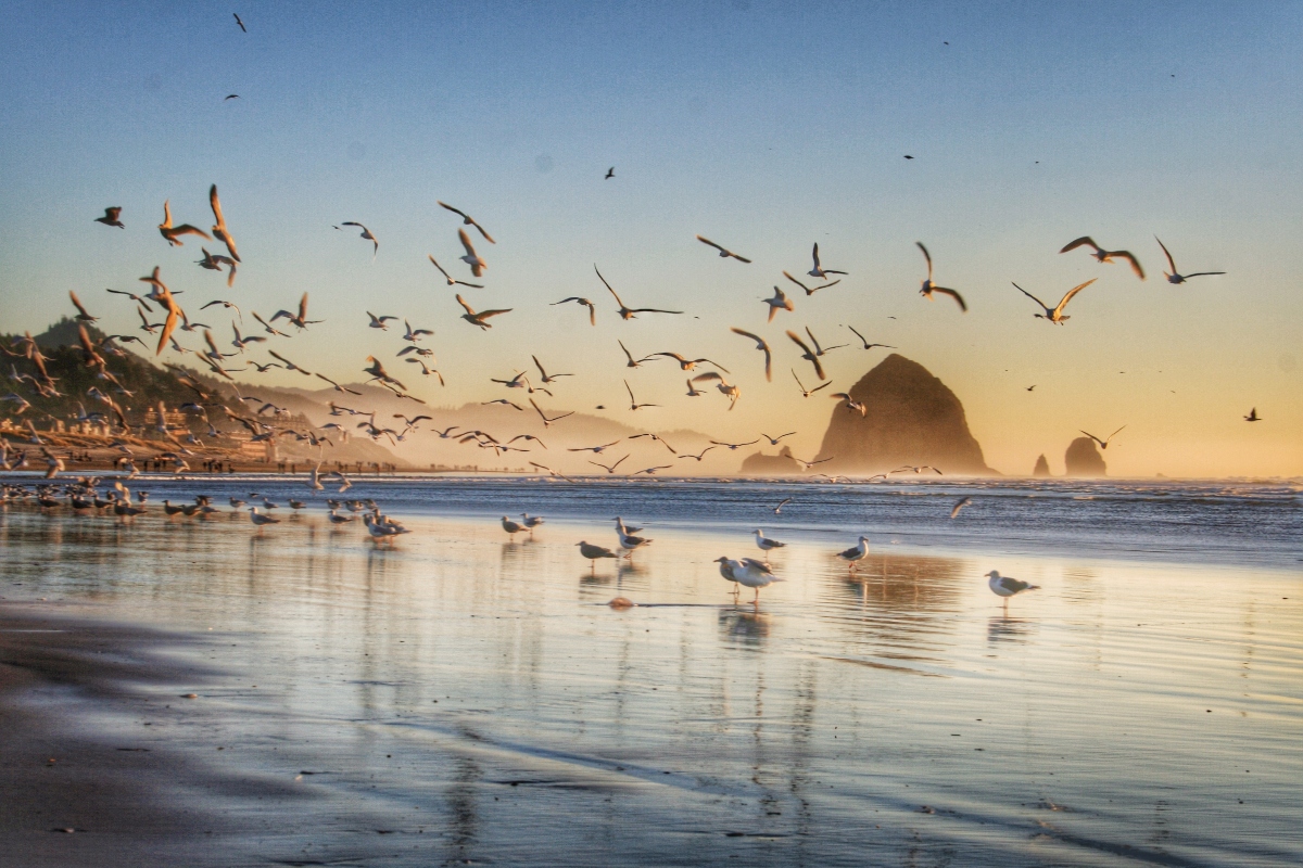 Cannon-Beach-Oregon.jpg