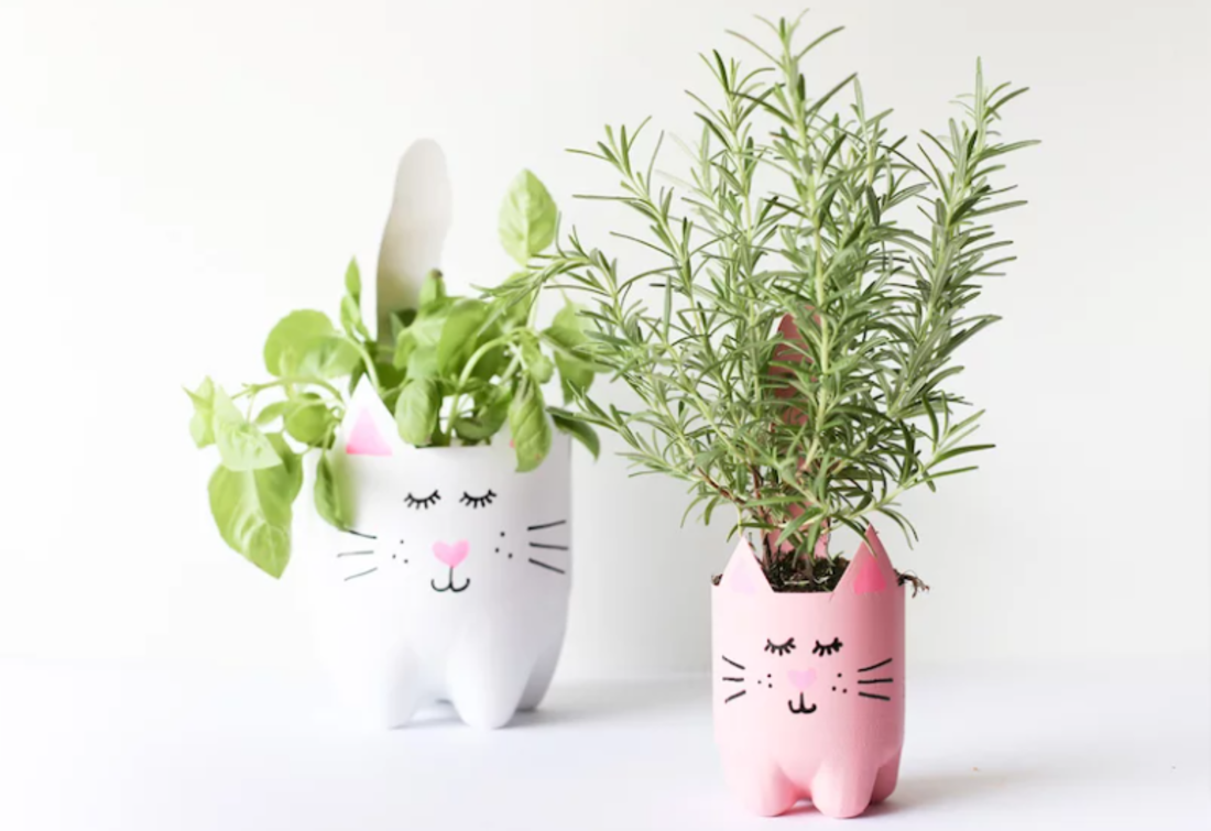 DIY_Soda_Bottle_Kitty_Cat_Planters_-_Salty_Canary.png