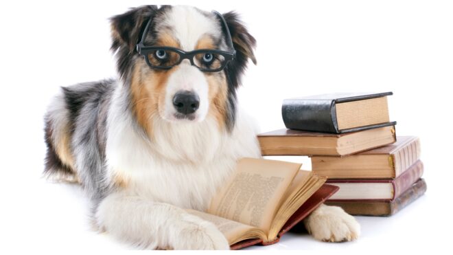 Dogs Reading Social