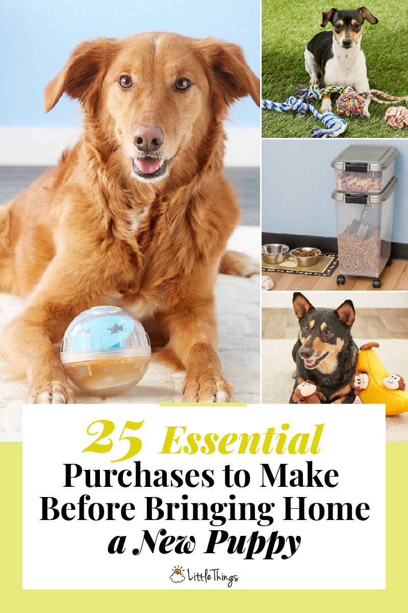 Essential-purchases-to-make-before-bringing-home-a-new-puppy-pinterest-image.jpg